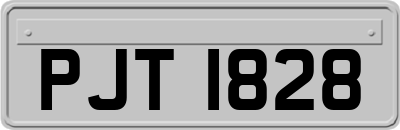 PJT1828