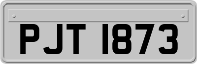 PJT1873