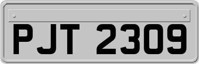 PJT2309