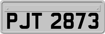 PJT2873