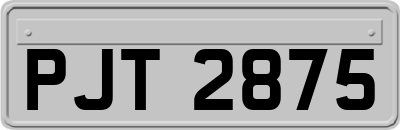 PJT2875