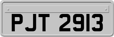 PJT2913