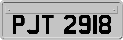 PJT2918