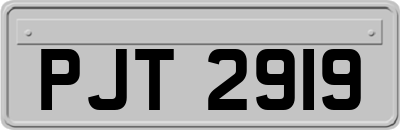 PJT2919