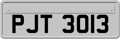 PJT3013