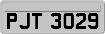 PJT3029