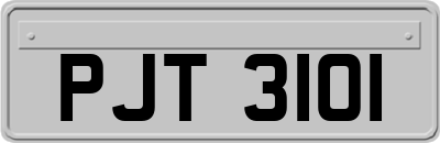 PJT3101