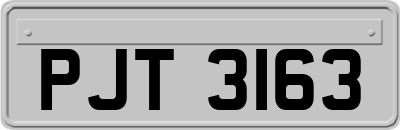 PJT3163
