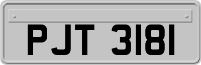 PJT3181