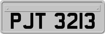 PJT3213
