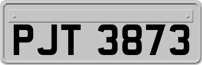 PJT3873