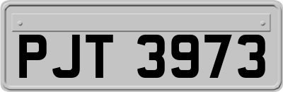 PJT3973