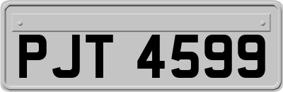 PJT4599
