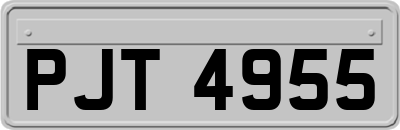 PJT4955