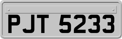 PJT5233