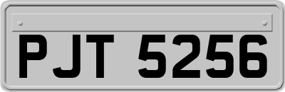 PJT5256