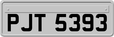 PJT5393