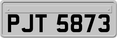 PJT5873