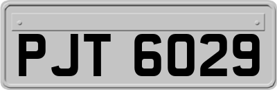 PJT6029