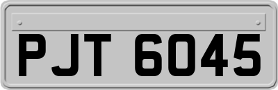 PJT6045