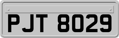 PJT8029