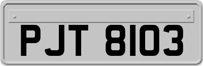PJT8103