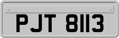 PJT8113