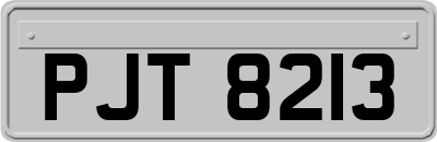 PJT8213