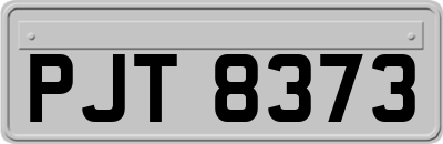 PJT8373
