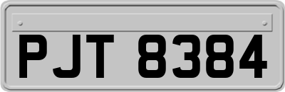 PJT8384