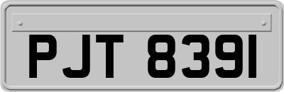 PJT8391
