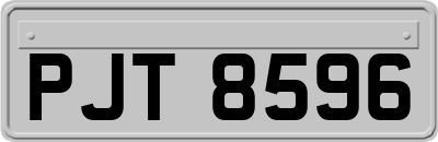 PJT8596