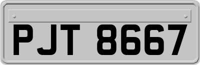 PJT8667
