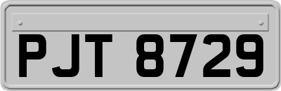 PJT8729