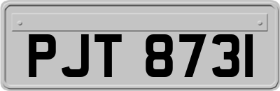PJT8731