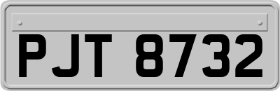 PJT8732