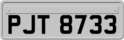 PJT8733