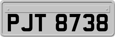 PJT8738