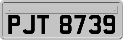 PJT8739