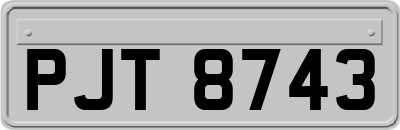 PJT8743