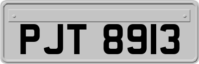 PJT8913