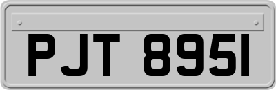 PJT8951
