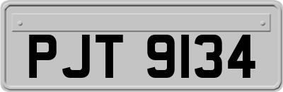 PJT9134