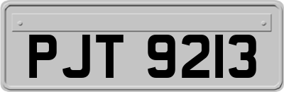 PJT9213