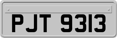 PJT9313