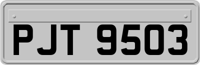 PJT9503