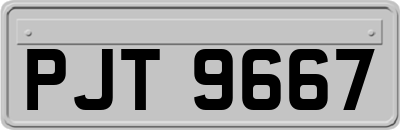 PJT9667