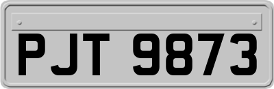 PJT9873