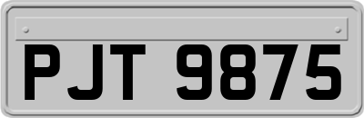 PJT9875