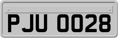 PJU0028